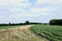 Timberland Property for sale in Schuyler County, Missouri