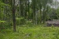 Land for sale in Stoddard County, Missouri