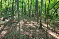 Recreational Property for sale in Polk County, North Carolina