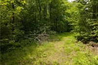 Undeveloped Land for sale in Polk County, Wisconsin