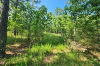 Undeveloped Land for sale in Le Flore County, Oklahoma