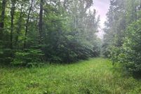 Land for sale in Montgomery County, Arkansas