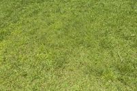 Land for sale in DeKalb County, Georgia