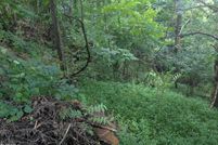 Undeveloped Land for sale in Sullivan County, Tennessee