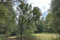 Land for sale in Scott County, Mississippi