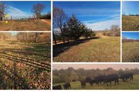 Farm and Ranch for sale in McDonald County, Missouri