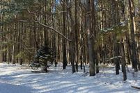 Land for sale in Mecklenburg County, Virginia