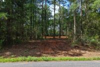 Recreational Property for sale in Geneva County, Alabama
