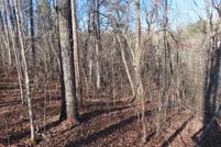 Undeveloped Land for sale in Gilmer County, Georgia