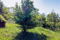 Land for sale in Anderson County, South Carolina