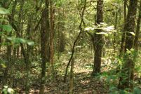 Land for sale in Izard County, Arkansas
