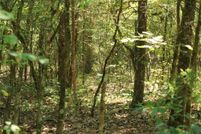 Land for sale in Izard County, Arkansas