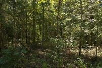 Farm and Ranch for sale in Izard County, Arkansas