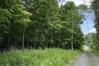 Undeveloped Land for sale in Schoharie County, New York