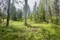 Undeveloped Land for sale in Stevens County, Washington