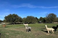 Land for sale in Hunt County, Texas