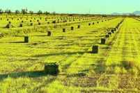 Timberland Property for sale in Pinal County, Arizona