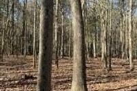 Farm and Ranch for sale in Dorchester County, Maryland
