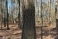 Farm and Ranch for sale in Dorchester County, Maryland