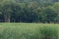Recreational Property for sale in Madison County, Alabama