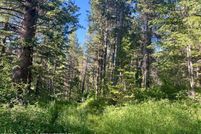 Undeveloped Land for sale in Teton County, Idaho