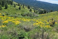 Farm and Ranch for sale in Adams County, Idaho