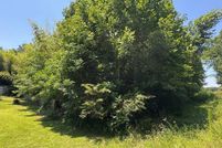 Farm and Ranch for sale in Brunswick County, Virginia