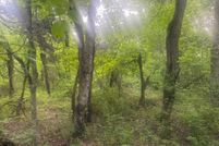 Undeveloped Land in Elliott County, Kentucky