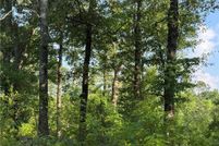 Land for sale in Tallapoosa County, Alabama