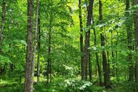 Undeveloped Land for sale in Sawyer County, Wisconsin