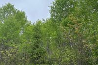 Land for sale in Oneida County, Wisconsin