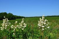 Undeveloped Land for sale in Osage County, Kansas