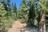 Homesite for sale in Plumas County, California