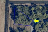 Undeveloped Land in Brevard County, Florida