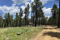 Land for sale in San Miguel County, New Mexico