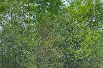 Land for sale in Oneida County, Wisconsin