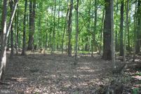 Farm and Ranch for sale in Baltimore County, Maryland
