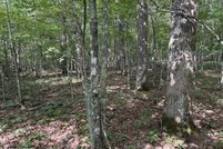 Timberland Property for sale in Putnam County, Tennessee