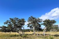 Land for sale in Gillespie County, Texas