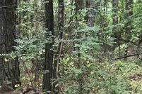 Undeveloped Land for sale in Talladega County, Alabama
