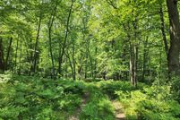 Undeveloped Land for sale in Clare County, Michigan
