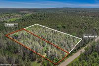 Undeveloped Land for sale in Roscommon County, Michigan