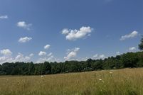 Land for sale in Allen County, Kentucky