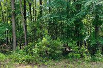 Undeveloped Land for sale in Cleburne County, Arkansas