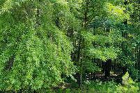 Land for sale in Cleburne County, Arkansas