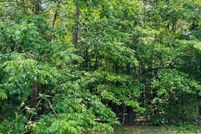 Land for sale in Cleburne County, Arkansas