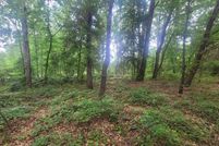 Land for sale in Spartanburg County, South Carolina