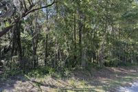 Undeveloped Land for sale in Orangeburg County, South Carolina