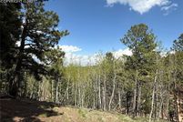 Undeveloped Land for sale in Teller County, Colorado