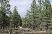 Homesite for sale in Archuleta County, Colorado